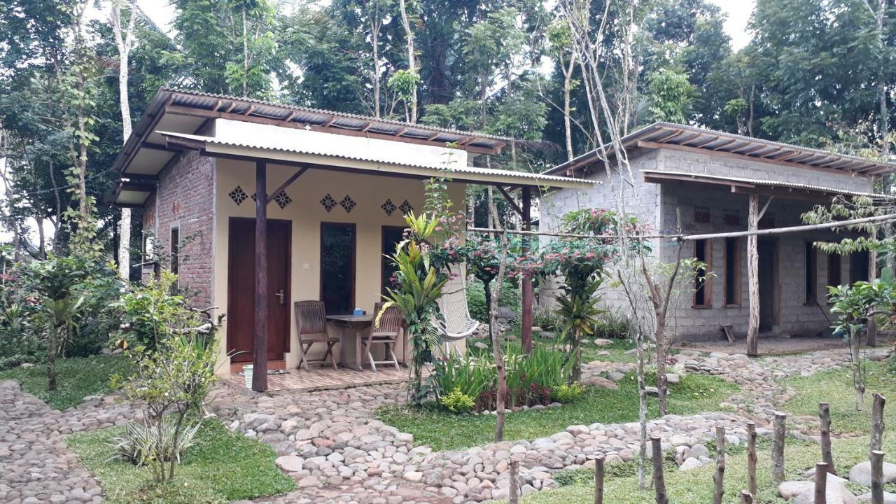 Hadi Homestay Banyuwangi  Exterior foto