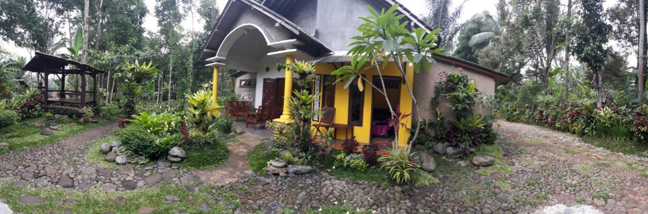 Hadi Homestay Banyuwangi  Exterior foto